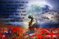 /album/veteranenstammtische-deutschland/heroes-never-die-they-will-never-be-forgotten-jpg/